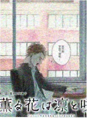 动作电影推荐 综艺 替身之路